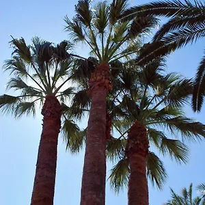 https://apartamentos-les-palmeres.topcostabravahotels.com